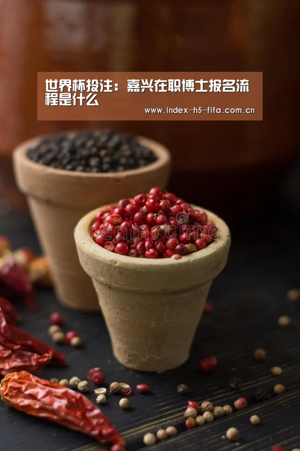 世界杯投注