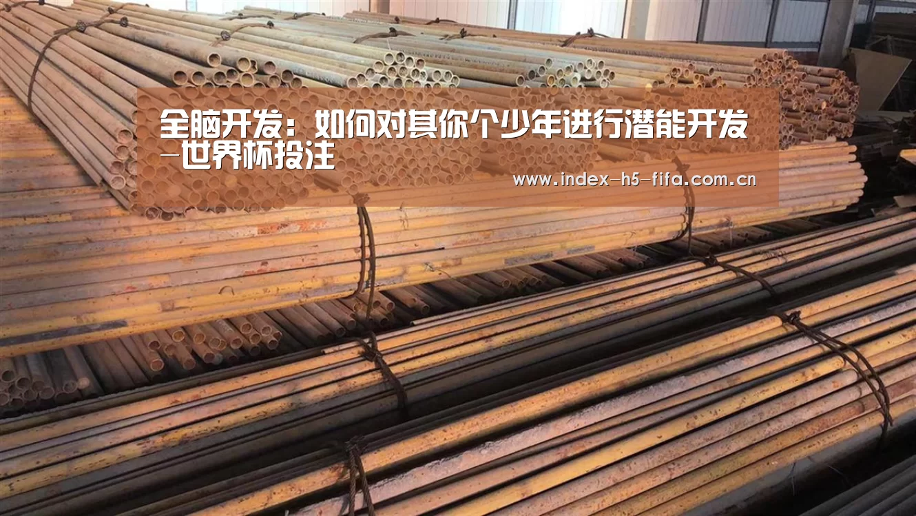全脑开发：如何对其你个少年进行潜能开发-世界杯投注